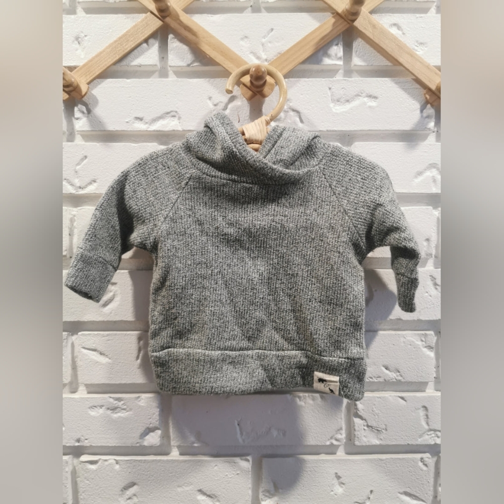 Bear & RooBear & Roo Green/Grey Hoodie (0-3)